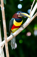 20130903-1DXX1103.jpg