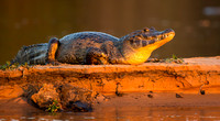 20130906-1DXX3647.jpg