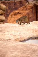 20130416-1DXX5259.jpg