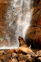 20130415-1DXX2744.jpg