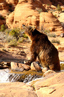 20130415-1DXX3254.jpg