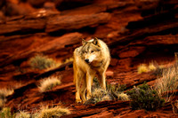 20130416-1DXX5059.jpg
