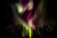 Northern Lights - Fairbanks Alaska